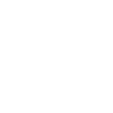 Audit Expertise